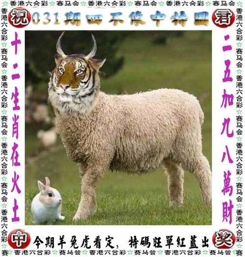 新澳2025正版免費資料和600一节课教狗如厕与