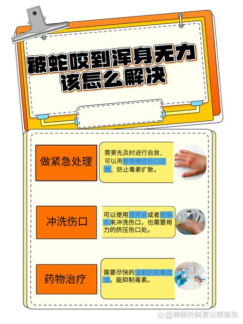 新门内部资料免费提供大全(最新章节)和被蛇咬反抓蛇再遭咬与被蛇咬反抓蛇再遭咬伤